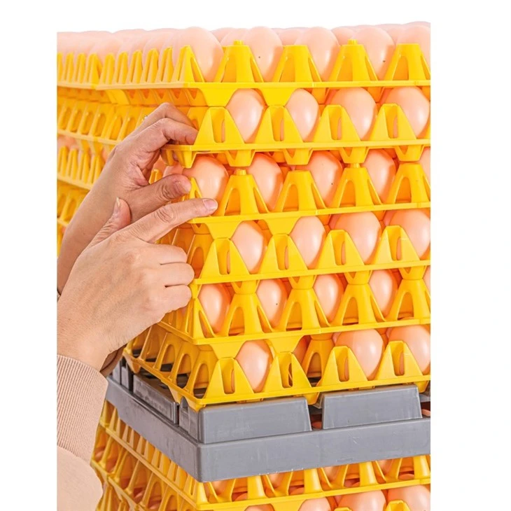 Egg Pallet System