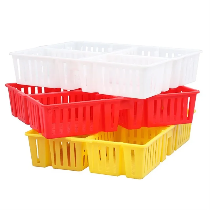 Plastic Chick Box 4 Compartments