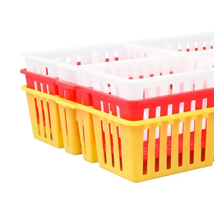 Plastic Chick Box 4 Compartments