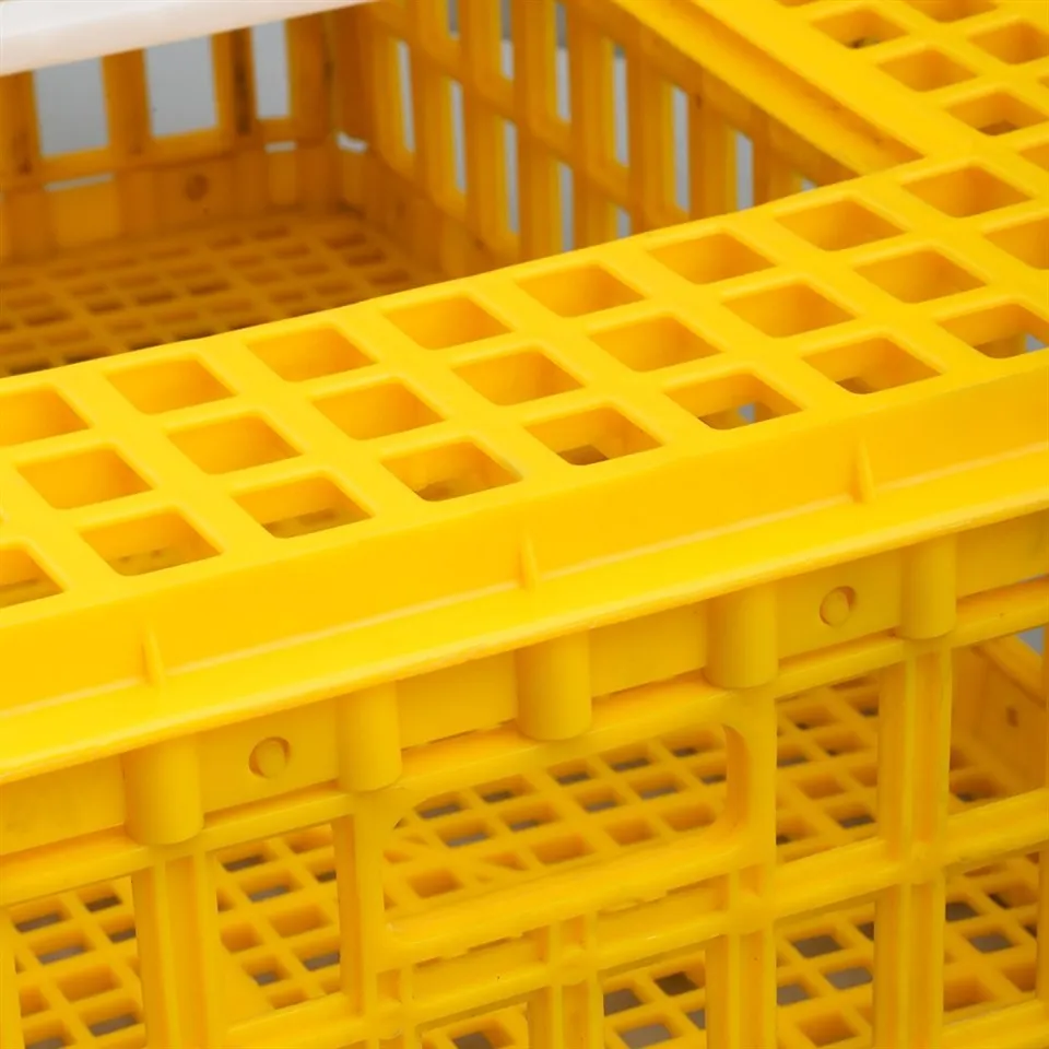 Plastic Chicken Transport Basket