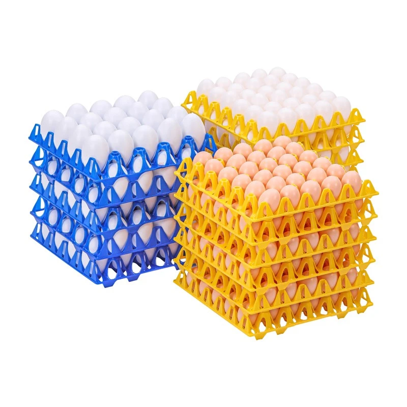 product-800-800